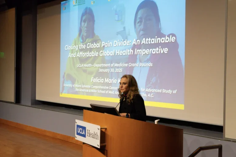 Felicia M. Knaul presents a powerpoint